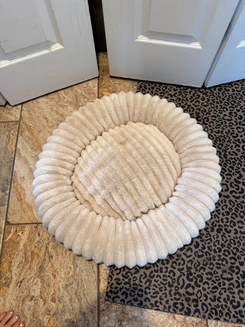 Dog/Cat bed